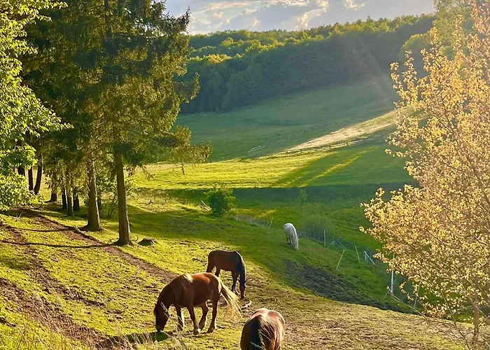 Nyaraló 1 Bedroom Cozy In